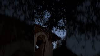 Kirwani raga under the moon 🌙 Rishikesh