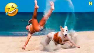 Try Not To Laugh Challenge ~ Funny Cat & Dog Vines compilation 2023 #710