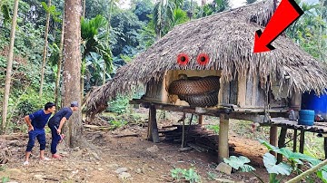 Cuộc Gọi Khẩn Cấp Của Người Dân Khi Mưa Lụt Rắn Bò Vào Nghôi Nhà Sàn