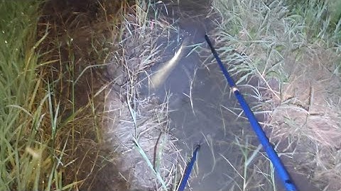 Xiệt Cá Trên Ruộng Sau Cơn Mưa Lớn Trúng Toàn Cá Ngon | kích cá miền tây 