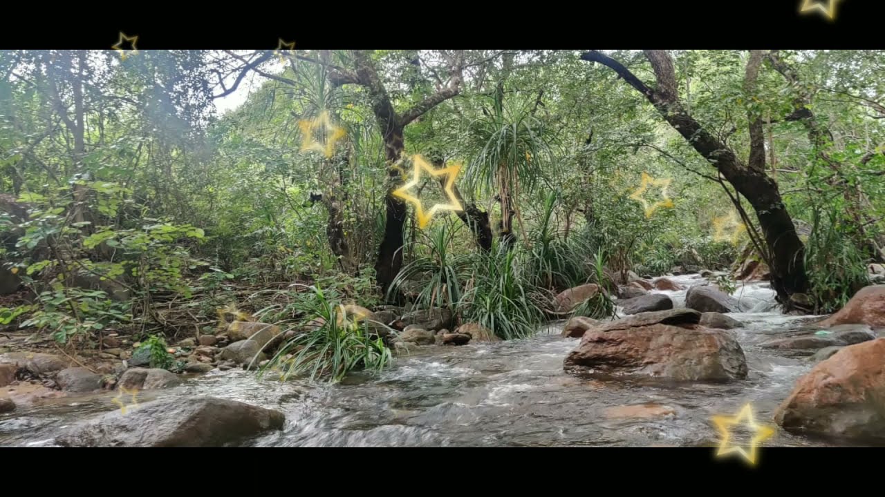 TPM Hindi Song No - 503 (Prabhu Yeshu Sharansthaan Hai Mera / प्रभू येशू शरणस्थान है मेरा)