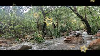 TPM Hindi Song No - 503 (Prabhu Yeshu Sharansthaan Hai Mera / प्रभू येशू शरणस्थान है मेरा)