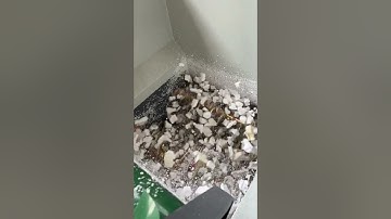 eps compactor with conveyor #epsfoam #eps #foamblock #epscompactor #compactor #compactors #styrofoam