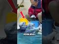 Ove vidre rade nešto posebno, pogledaj šta #shorts #balkan #zanimljivosti #otter #animallovers #fyp