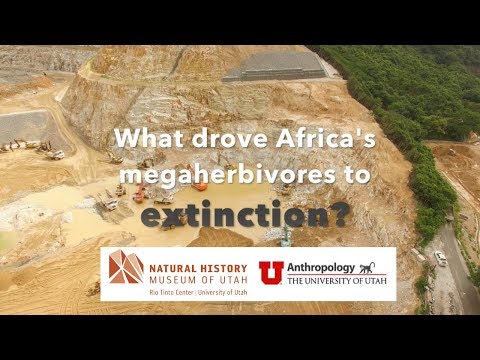 Video: Hvorfor Forsvant Representantene For Den Gamle Afrikanske Megafaunaen - Alternativ Visning
