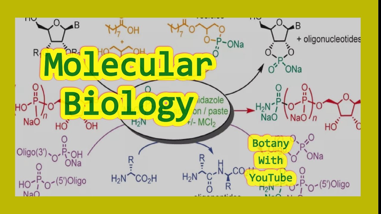 Basics of Molecular Biology tools and techniques & Central Dogma 
