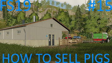 Farming Simulator 2019 | HOW TO SELL PIGS | Ravenport | Episode 15