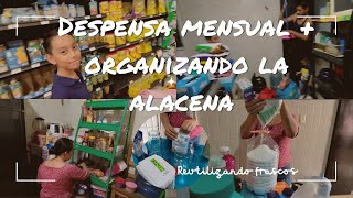 Despensa mensual para 5| acomodando la Alacena #despensamensual