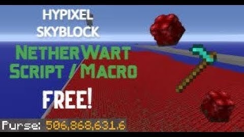 Hypixel Skyblock Netherwart Script 120M PER DAY W SMART FAILSAFE