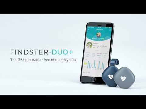 Findster - Apps on Google Play