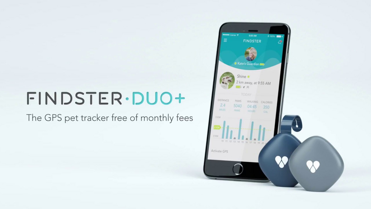 findster duo amazon