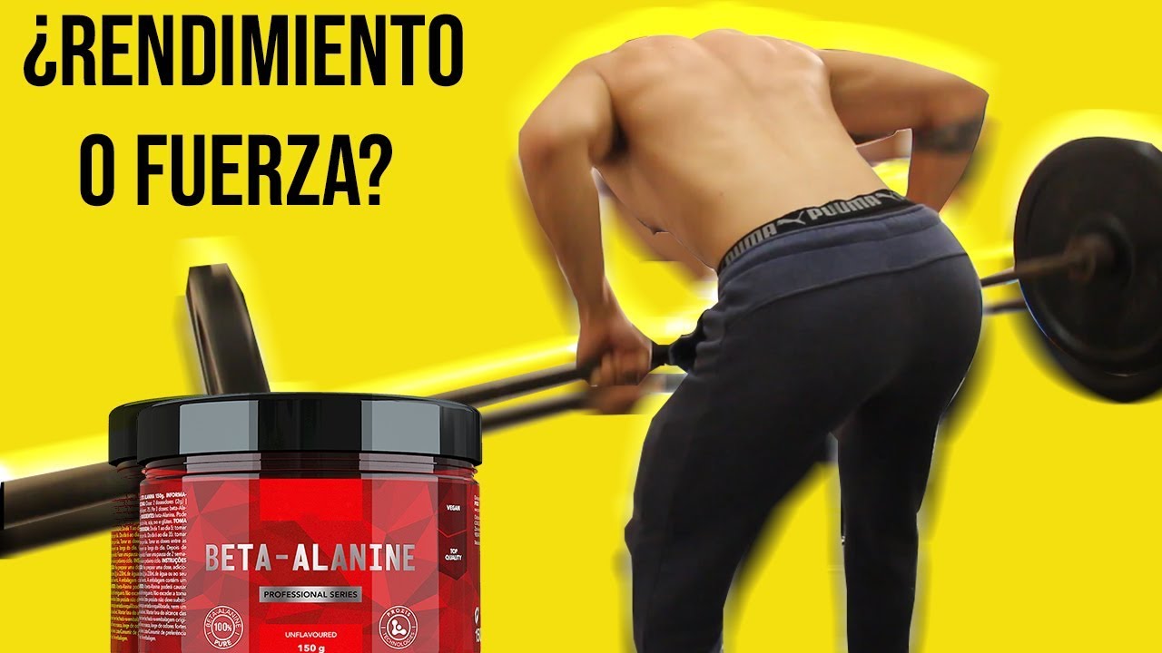 Beta Alanina Funciona Para Hipertrofia 6 Cosas Que DEBES SABER beta-alanina-funciona-para-hipertrofia-6-cosas-que-debes-saber