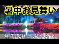 暑中見舞い動画 lineで送る癒しの森のカード