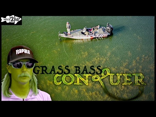 12 Tips to Master Bass Fishing Grass with Seth Feider 