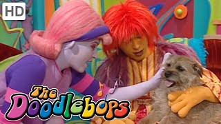 The Doodlebops Strucel Doodle  Episode