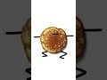 I’m a pancake