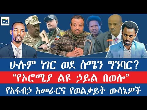 ሁሉም ነገር ወደ ሰሜን ግንባር የኦሮሚያ ልዩ ኃይል በወሎ የአፋብኃ አመራርና የወልቃይት ውሳኔዎች