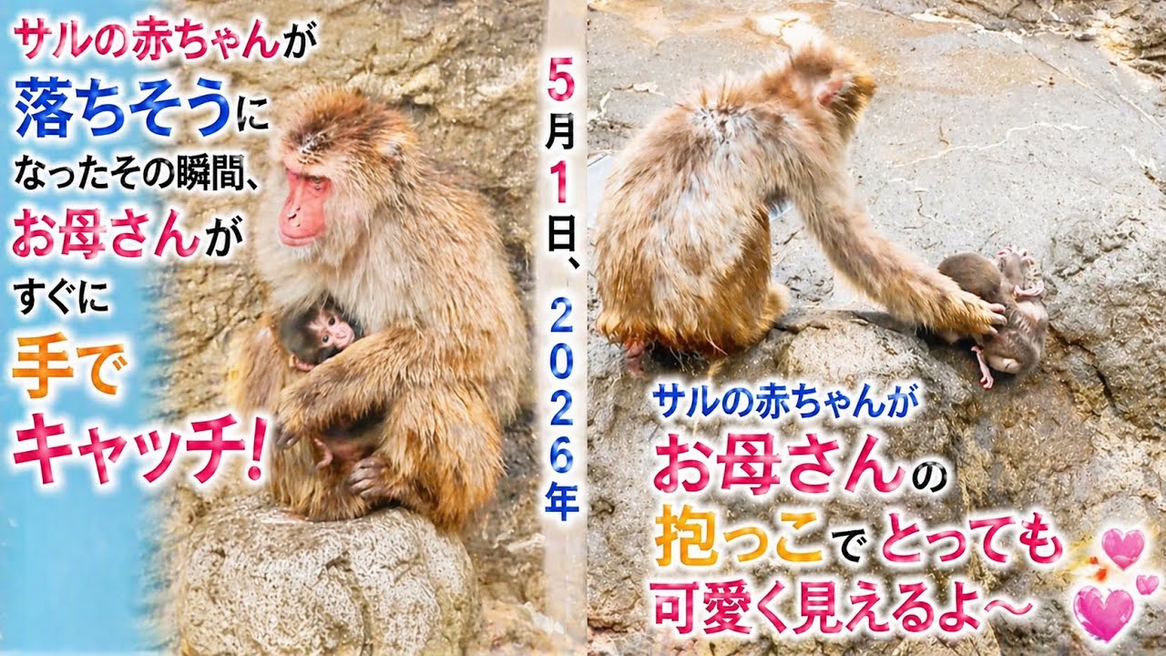 2026年5月1日落ちそうな赤ちゃん…その瞬間お母さんが救った！感動の母