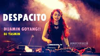 dj yasmin - despacito