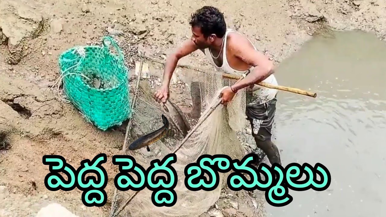 పెద్ద పెద్ద బొమ్మలు 🐬yatala shankar volgs యాటల శంకర్ ఫిషింగ్ వీడియోస్ 🐬 సబ్స్క్రయిబ్ 🙏