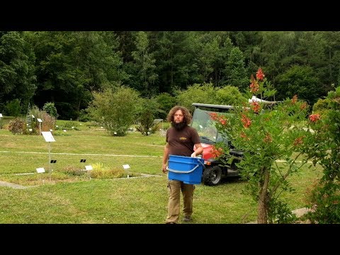 Video: Gründung eines botanischen Gartens: Erfahren Sie, was botanische Gärten tun