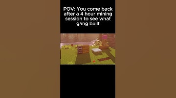 POV: you come back after a 4 hour mining session to see what bro made...