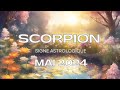 Scorpion on y va et le succs est au boutmai 2024