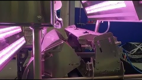 Dryce optical sortingmachine for brussels sprouts | Raytec Vision