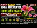 SEXUAL REPRODUCTION IN FLOWERING PLANT | FORMATION OF MALE GAMETOPHYTE POLLINATION | LECTURE -2