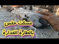 مسكت حلس كدة 21 ضريبة تربووالغيةالمصرية 