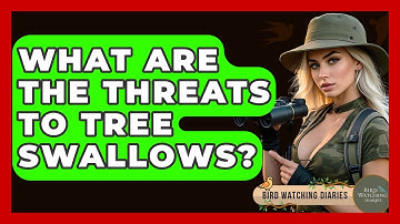 What Are The Threats To Tree Swallows? - Bird Watching Diaries