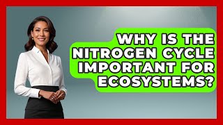 Why Is the Nitrogen Cycle Important for Ecosystems? | Explaining Ecology News