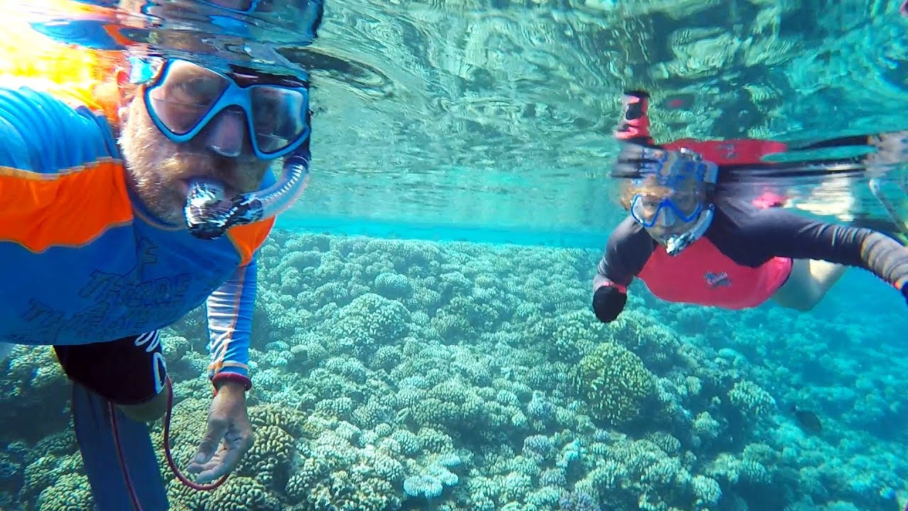 Ep 155 | Underwater World at Fakarava Atoll, Tuamotus, French Polynesia, Sailing Pacific Nutshell