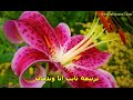 تايب انا وندمان