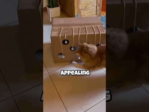 3 Best Gifts