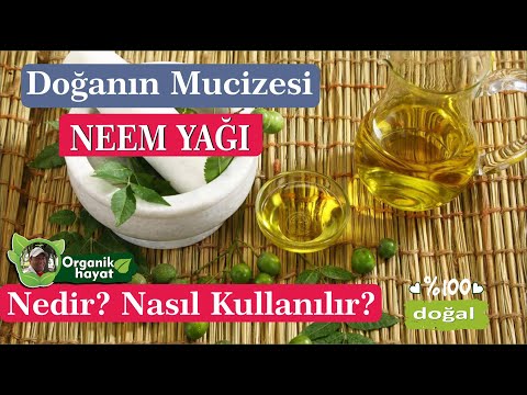 Doğanın mucizesi neem yağı #organiktarım