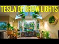 THESE Are The Best Grow Lights for Indoor Plants Made in America!