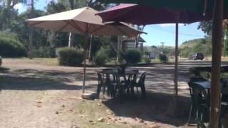 Common Ground Cafe- Picton