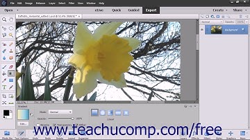 Photoshop Elements 15 Tutorial Using the Gradient Tool Adobe Training