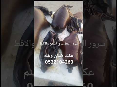 سمن غنم دباغ العرن عكك ضبان وعكه غنم سعن صميل