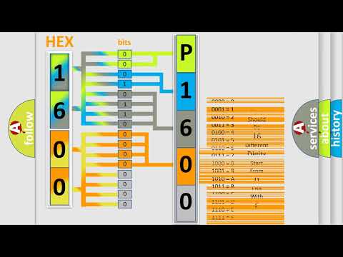 DTC Mini P1600 Short Explanation
