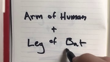 Homologous Structures