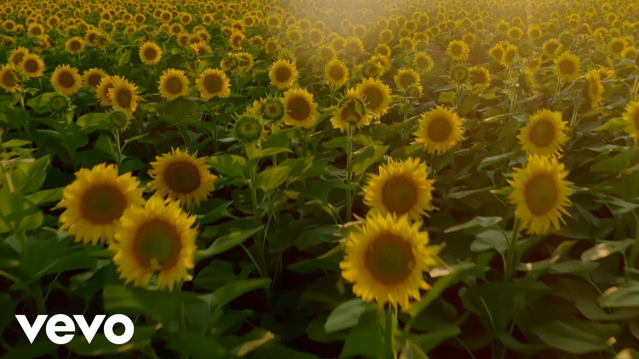 Joe Hisaishi - One Summer’s Day (English Version) featuring Grace Davidson (Visualizer) Joe Hisaishi - One Summer’s Day (English Version) featuring Grace Davidson (Visualizer)