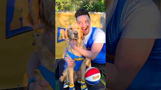 When You Get To MEET AIR BUD! #shorts 🏀🐕