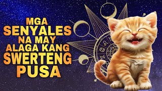 Download Lagu MGA SENYALES NA MAY ALAGA KANG SWERTENG PUSA | Lucky cat 2026 MP3