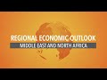 Regional economic outlook for the middle east and north africa may 2023