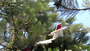 Tim and Larry Fishing Polaris Airplane out of Tree CRASH FAIL