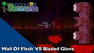 Bladed Glove vs Wall Of Flesh - Terraria