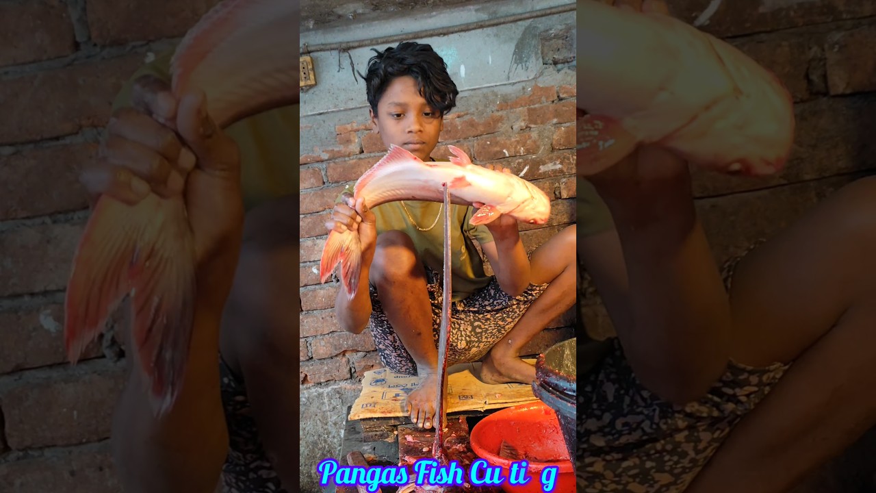 "Expert Pangas Fish Cutting Techniques | ASMR | Fresh Fish Market" 