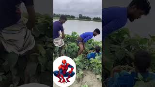 Part 11Timelapse Star Alone To Make Log Cabin Wooden House How To Finish To Build Wooden Cabin Su